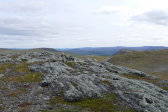 Fjelds 7