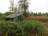 Boarek Sámi encampment 2
