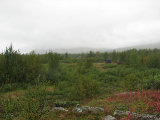 Boarek Sámi encampment 4