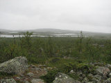 Pårek plain 1