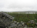 Pårek plain 2