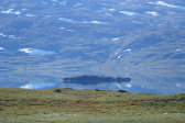 Bieskeh�vrre 31