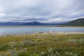 Bieskeh�vrre 35