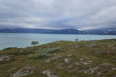 Bieskeh�vrre 43