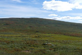 D�lbut 1