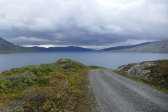Lomivatnet 8