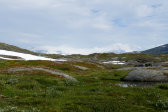 Sulid�lbm� 7