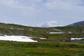 Sulid�lbm� 8