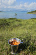 Cloudberries 2
