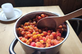 Cloudberries 4