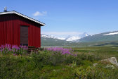 Cottage 11