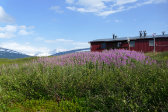 Cottage 14