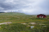 Cottage 17