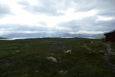 Cottage 29