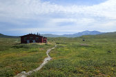 Cottage 5