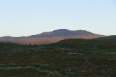 Evening 3