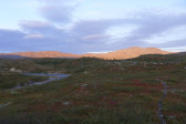 Evening 5