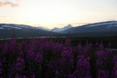 Evening 5
