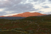 Evening 13