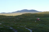 Evening 8