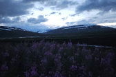 Evening 10