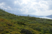 Fjelds 3