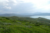 Fjelds 4