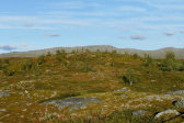 Fjelds 1