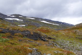 Fjelds 1