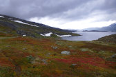 Fjelds 2