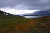 Fjelds 3
