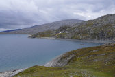 Fjelds 6