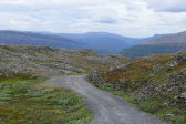 Fjelds 8