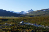 Massif 43