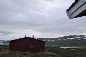 Mosquitos 1