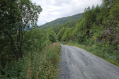 Road 9