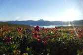Sun 6