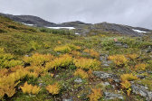 Trail 1