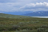 View 11