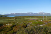 View 41