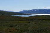 View 42