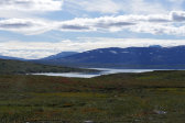 View 44