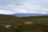 View 46