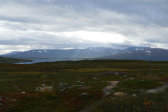 View 48