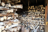 Woodshed 1