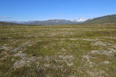 Ad�mvallda 11