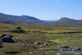 Ad�mvallda 13
