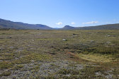 Ad�mvallda 15
