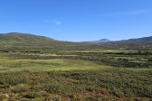 Ad�mvallda 7