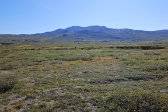 Ad�mvallda 8